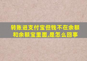 转账进支付宝但钱不在余额和余额宝里面,是怎么回事