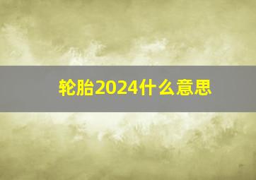 轮胎2024什么意思