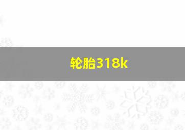 轮胎318k