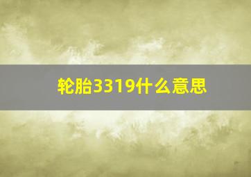 轮胎3319什么意思