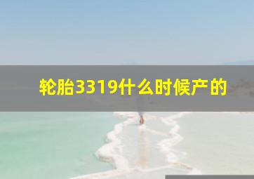 轮胎3319什么时候产的