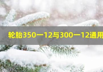 轮胎350一12与300一12通用吗