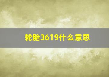 轮胎3619什么意思