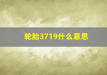 轮胎3719什么意思