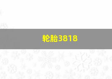 轮胎3818