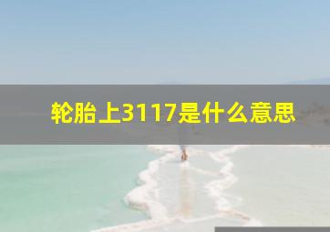 轮胎上3117是什么意思