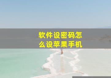 软件设密码怎么设苹果手机