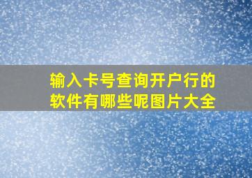 输入卡号查询开户行的软件有哪些呢图片大全