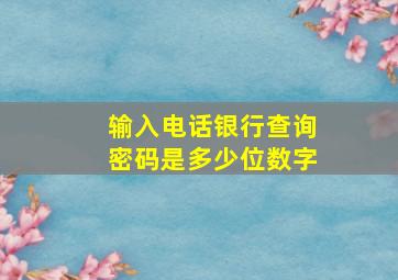 输入电话银行查询密码是多少位数字