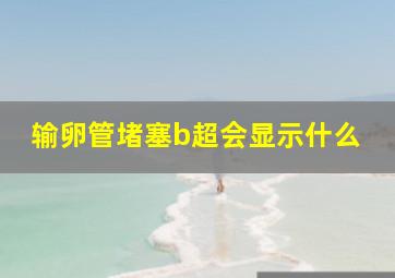 输卵管堵塞b超会显示什么