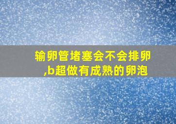 输卵管堵塞会不会排卵,b超做有成熟的卵泡