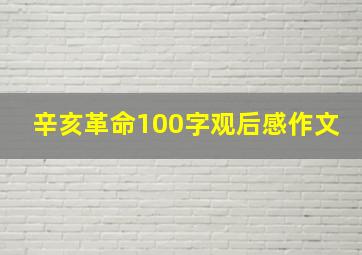 辛亥革命100字观后感作文