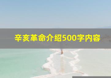 辛亥革命介绍500字内容