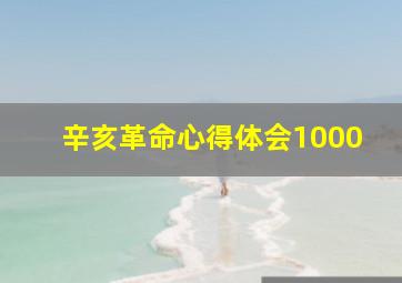 辛亥革命心得体会1000