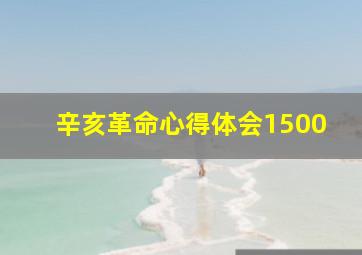 辛亥革命心得体会1500