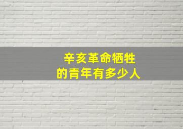 辛亥革命牺牲的青年有多少人