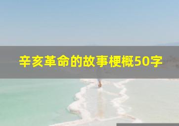 辛亥革命的故事梗概50字