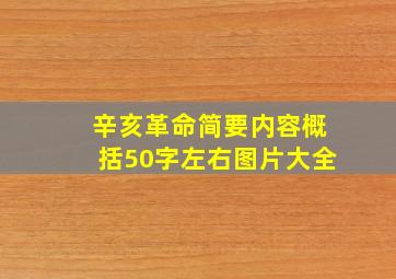 辛亥革命简要内容概括50字左右图片大全