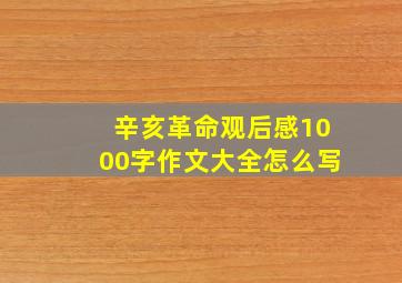 辛亥革命观后感1000字作文大全怎么写