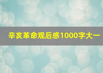 辛亥革命观后感1000字大一