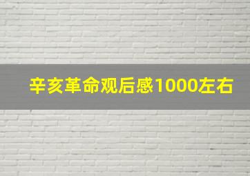 辛亥革命观后感1000左右