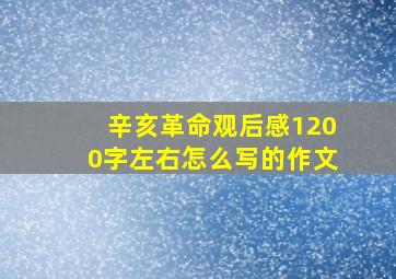 辛亥革命观后感1200字左右怎么写的作文