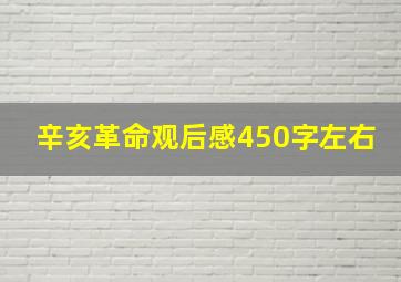 辛亥革命观后感450字左右