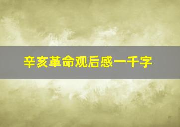 辛亥革命观后感一千字