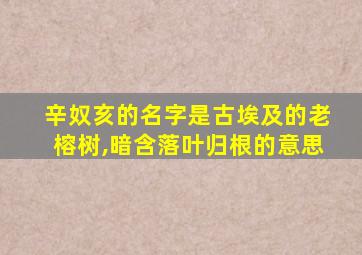 辛奴亥的名字是古埃及的老榕树,暗含落叶归根的意思