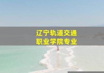 辽宁轨道交通职业学院专业