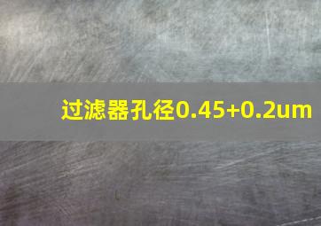 过滤器孔径0.45+0.2um