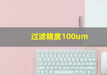 过滤精度100um