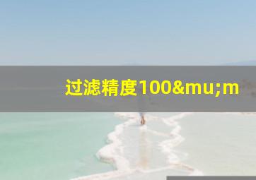 过滤精度100μm