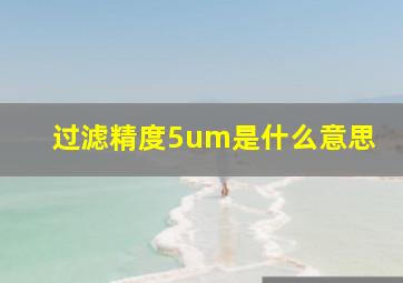 过滤精度5um是什么意思