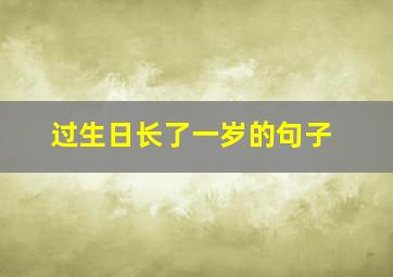 过生日长了一岁的句子