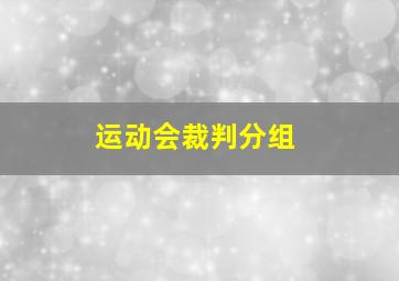 运动会裁判分组