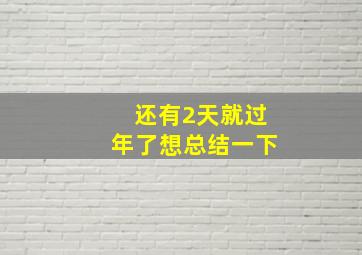 还有2天就过年了想总结一下