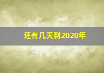 还有几天到2020年