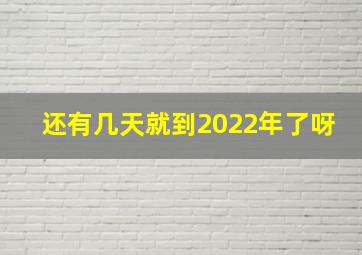 还有几天就到2022年了呀