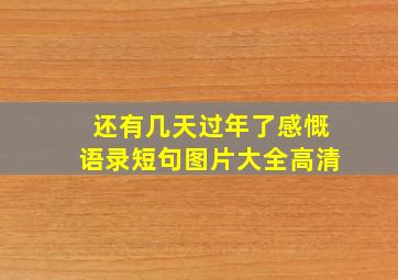 还有几天过年了感慨语录短句图片大全高清