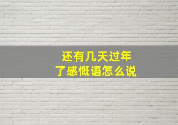 还有几天过年了感慨语怎么说