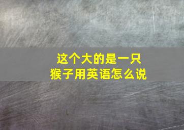 这个大的是一只猴子用英语怎么说