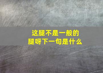 这腿不是一般的腿呀下一句是什么