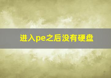 进入pe之后没有硬盘