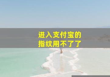 进入支付宝的指纹用不了了