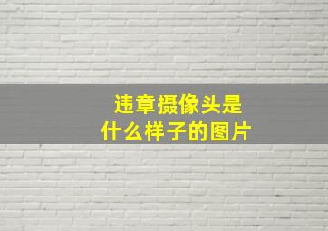 违章摄像头是什么样子的图片