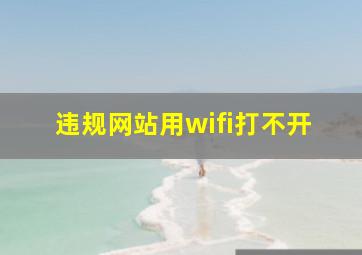 违规网站用wifi打不开