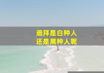 迪拜是白种人还是黑种人呢