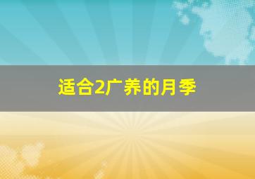 适合2广养的月季