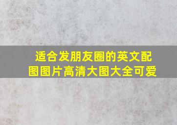 适合发朋友圈的英文配图图片高清大图大全可爱